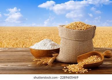 Kazakhstan wheat harvest and grain