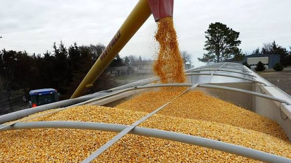 Grain loading and B2B trade